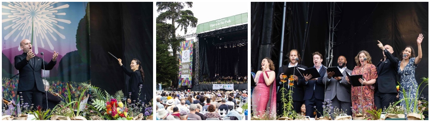 Opera In The Park